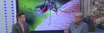 Balanço Entrevista: médico explica como prevenir a dengue dentro de casa (Balanço Entrevista: médico explica como prevenir a dengue dentro de casa)